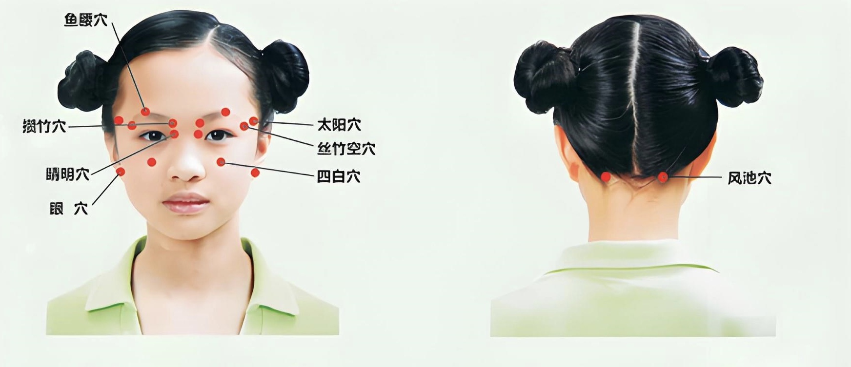 眼部穴位图