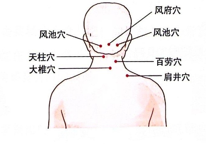 颈部穴位图